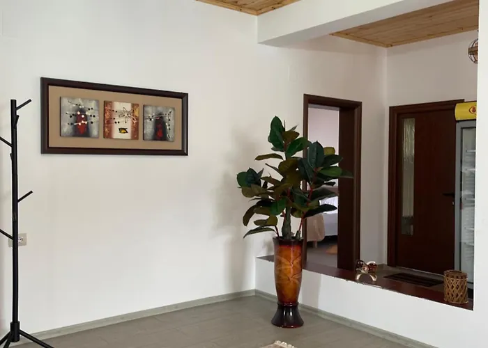 ゲストハウス Georgemishel ベラト